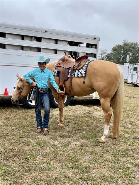 Available in Ocala FL Serious Inquiries Only As inspection Champion and Premium Elite foal, Selene has 3 super View Details 12,000 Buckskin Tobiano Warmblood Loxahatchee, FL Breed Warmblood Gender Colt Color Buckskin Height (hh) 13. . Quarter horse sales in florida
